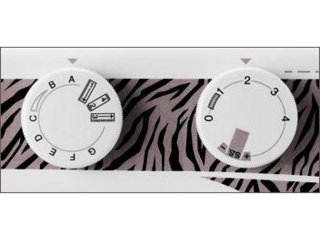 Elna 1000 Sew  Zebra