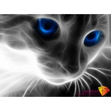 Картина стразами "Кошачий взгляд"